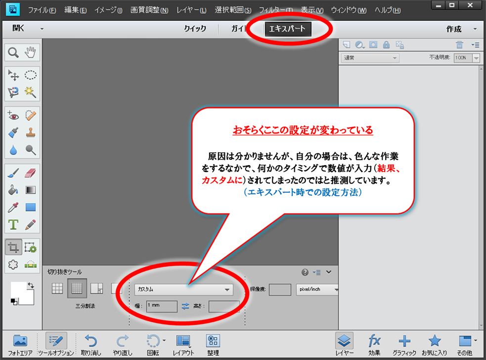 Adobe Photoshop Elements 11 フォトショップ の切り抜きの問題について Mino散歩