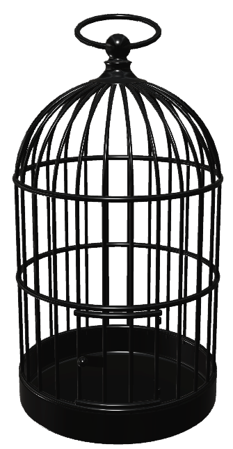 光沢）鳥かご001