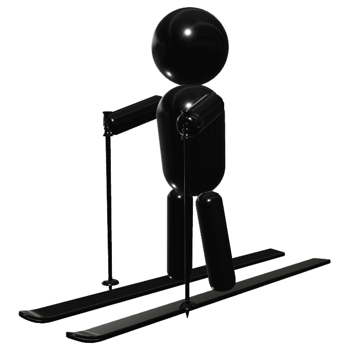 光沢　スキー002