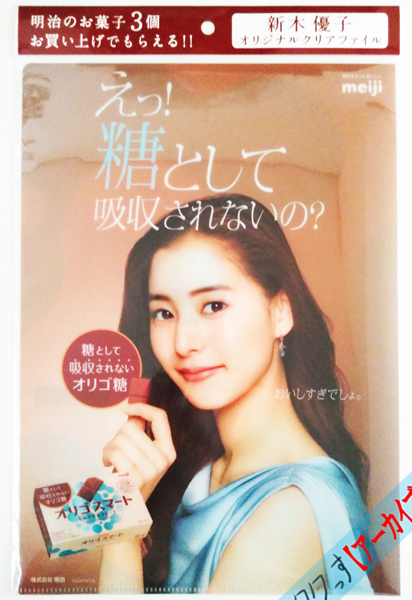 ClearFileA4-arakiyuuko1