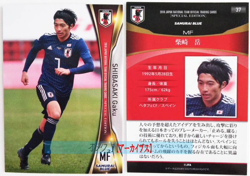 toreka-sport-sonota3-4