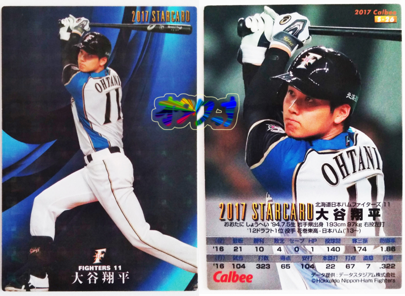 toreka-sport-sonota13-14