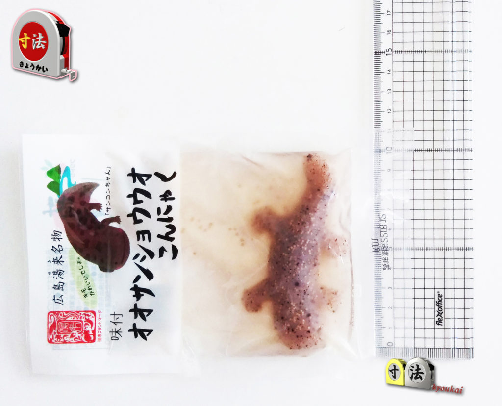 オオサンショウウオこんにゃく1