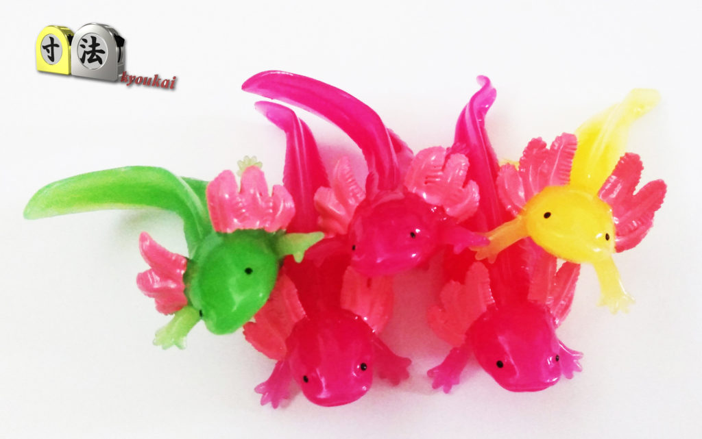 寸法　ガチャ　いろちぇん　ウーパー2