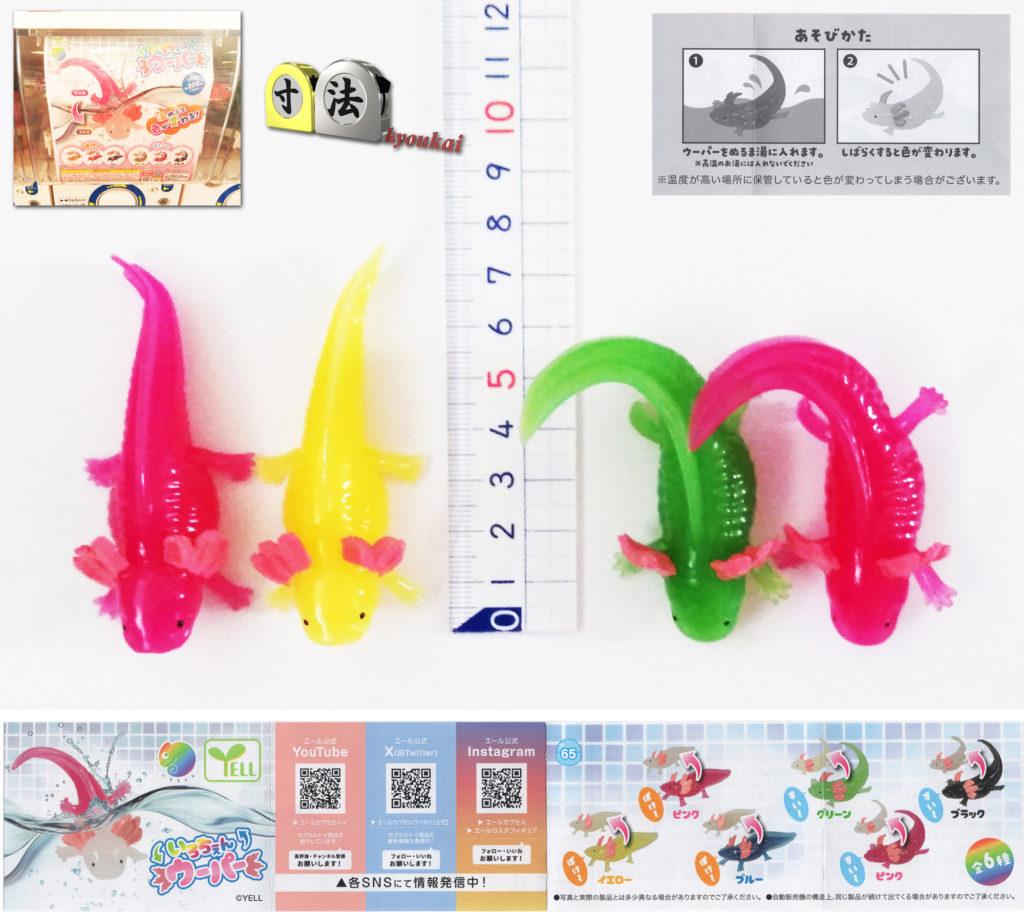 寸法　ガチャ　いろちぇん　ウーパー1